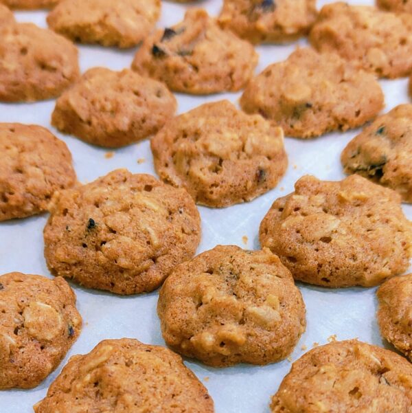 Mini Oats Cranberry Cookies