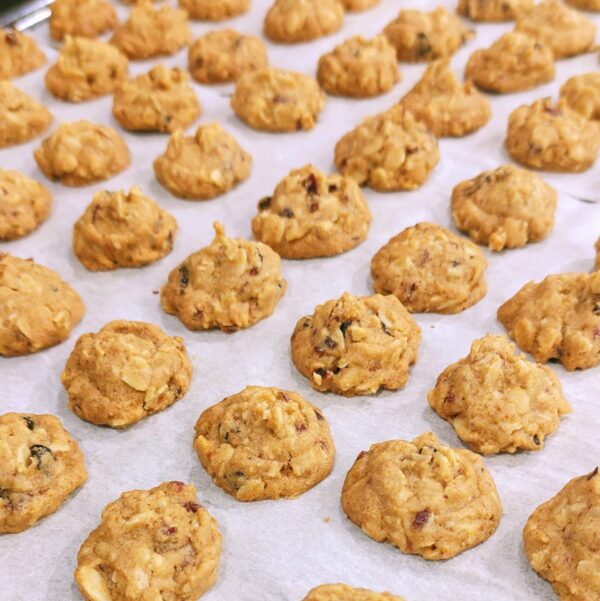 Mini Oats Cranberry Cookies